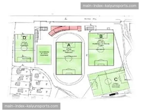 深度报道：德国青训学院“海外卫星计划”的成效与争议——以沃尔夫斯堡韩国项目为例